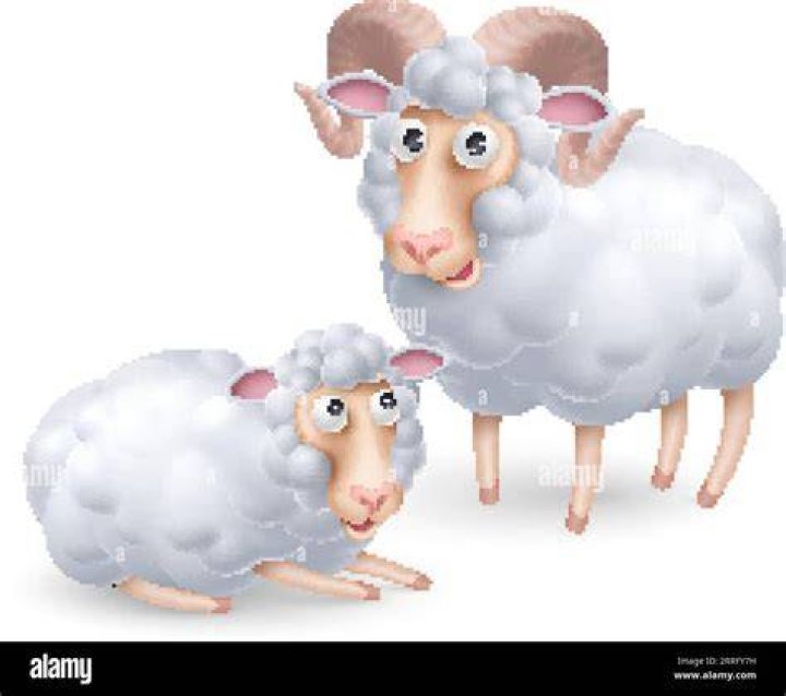 A pair of sheep from Minecraft