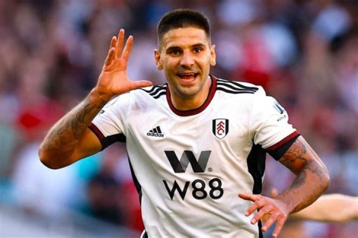 Aleksandar Mitrovic bio