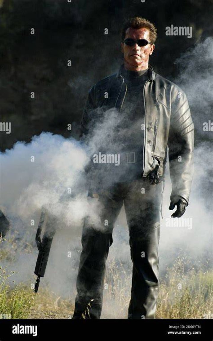 arnold schwarzenegger terminator 3