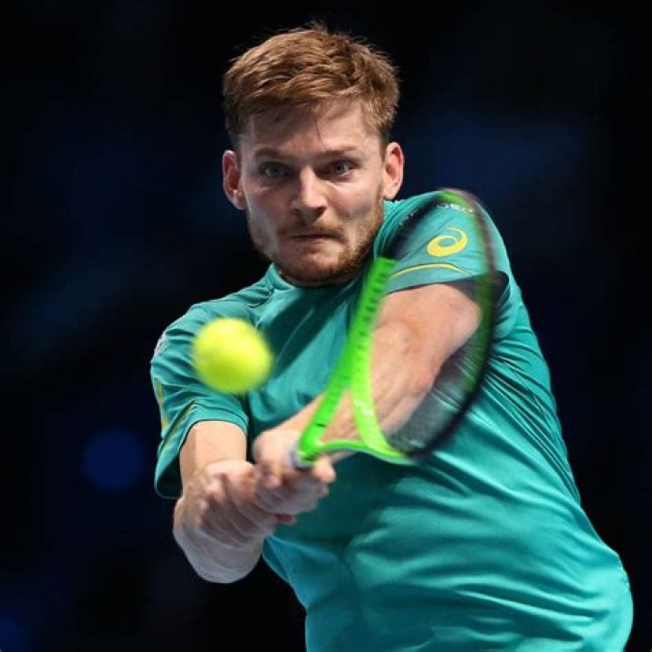 David Goffin