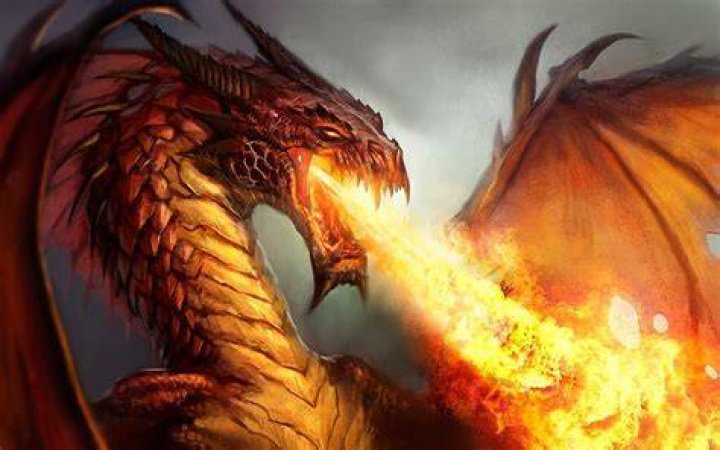 Dragon's dogma