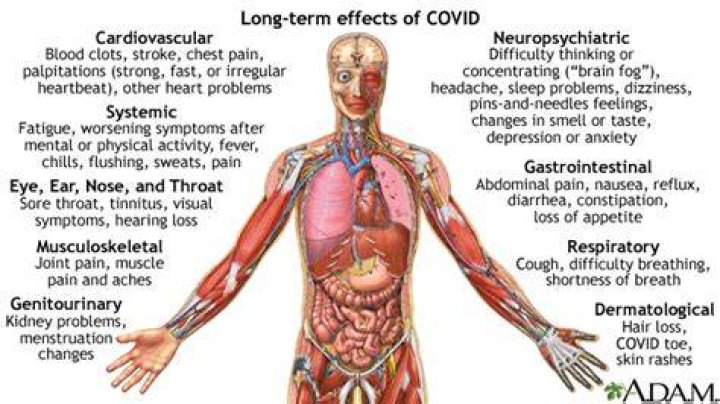 Effects of COVID-19 on Youth Athletes: Higher Depression and Anxiety Scores for Single Sport Athletes and Females, Increased Sleep and Outdoor Time for Younger Athletes