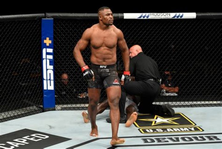 Who defeated Francis Ngannou? Has Francis Ngannou ever been defeated? 1 Francis Ngannou