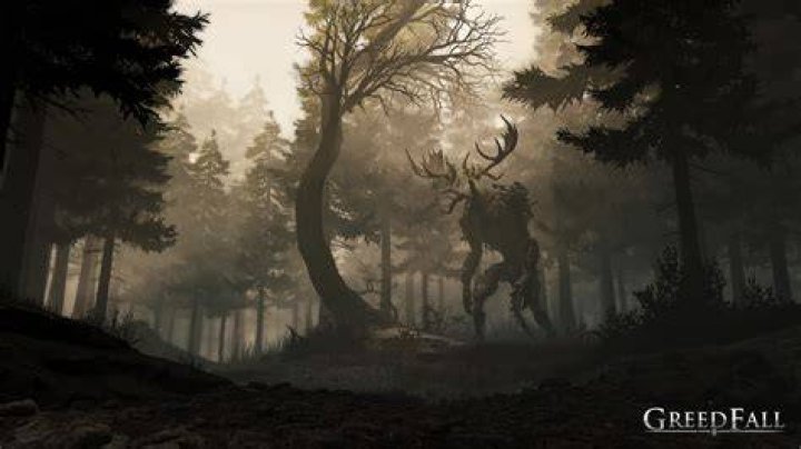 GreedFall Forest