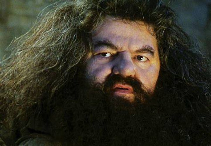 Hagrid-Harry-Potter-and-the-chamber-of-secrets