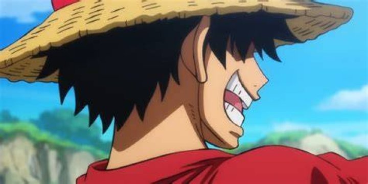Luffy smiles at the camera and holds his fist up in the air. 