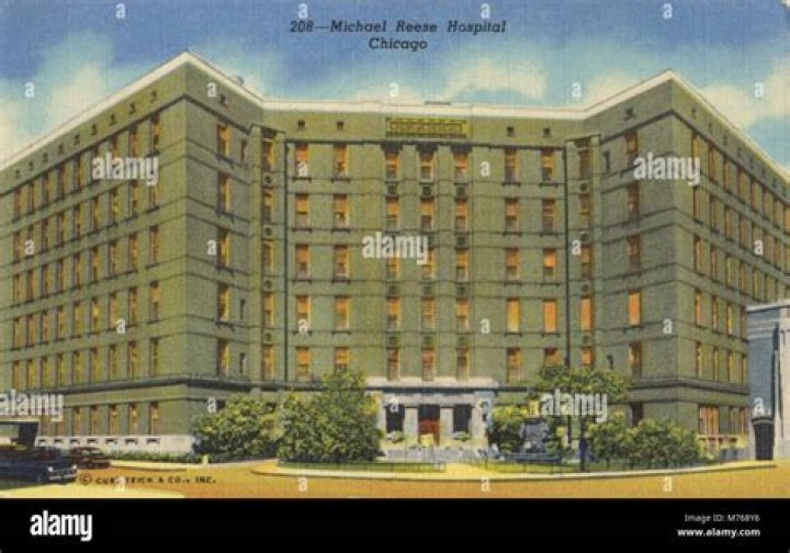 Michael Reese Hospital and Medical Center