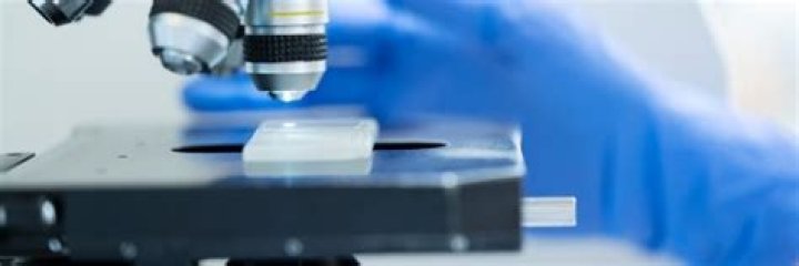 MSK Research Highlights, November 23, 2022