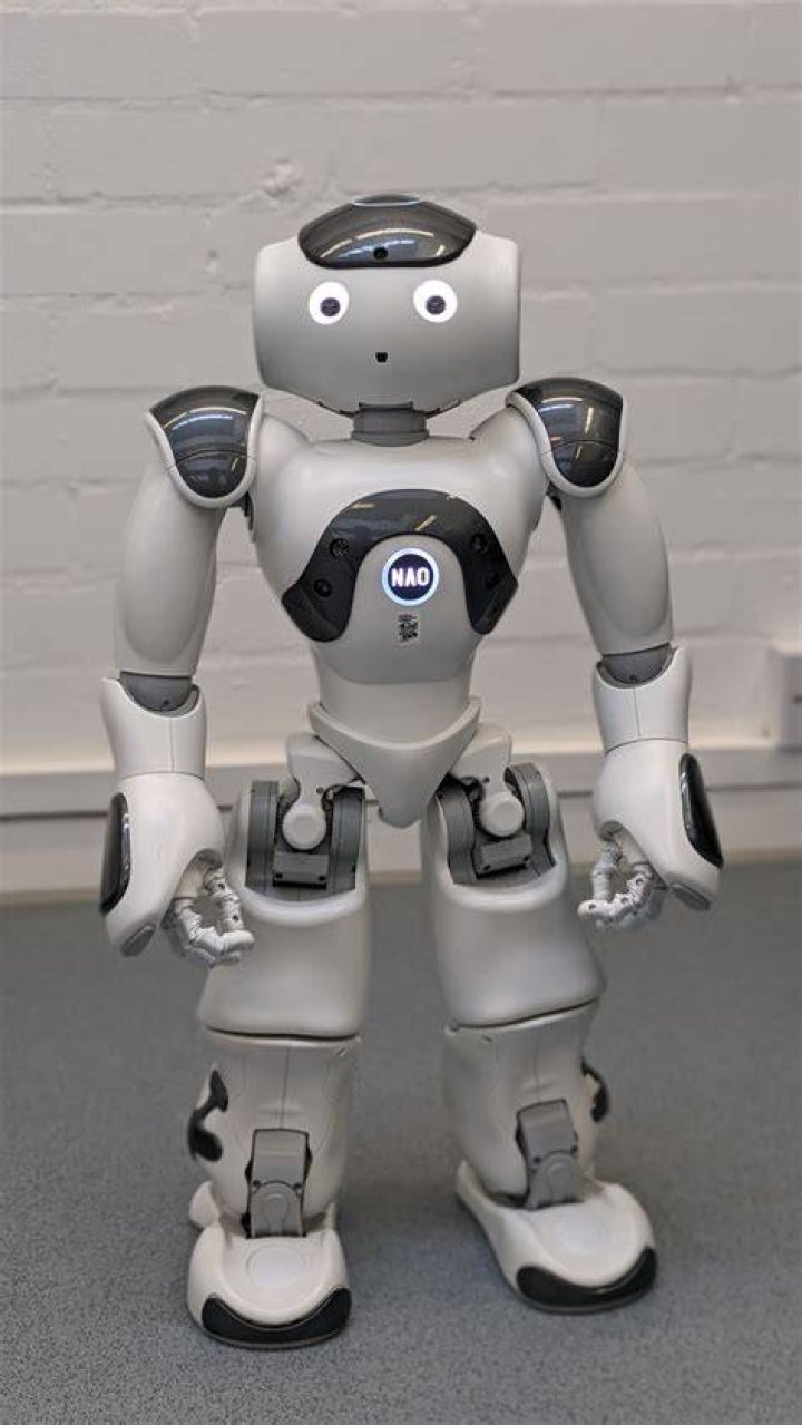 nao