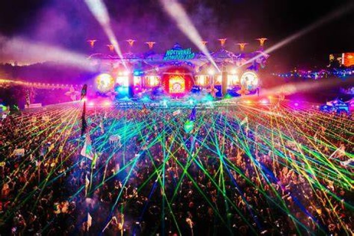 nocturnal-wonderland-tree-stage