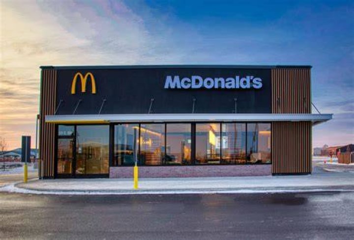 Photo of the McDonald's sign with a seagull sitting on the arch.
