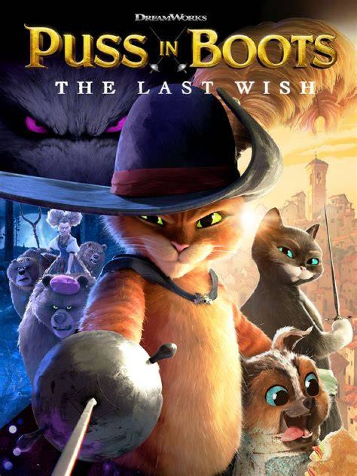 Puss in Boots The Last Wish Sword