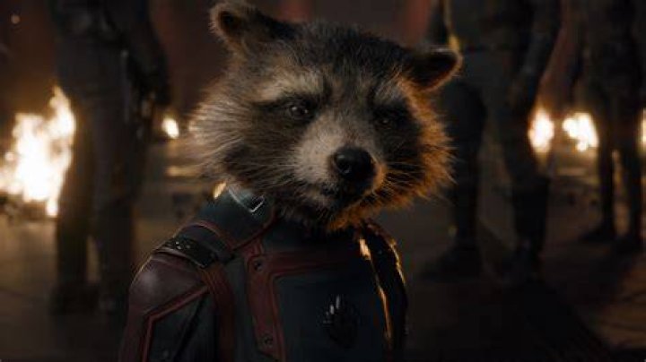Rocket Raccoon Guardians of the Galaxy Vol. 3