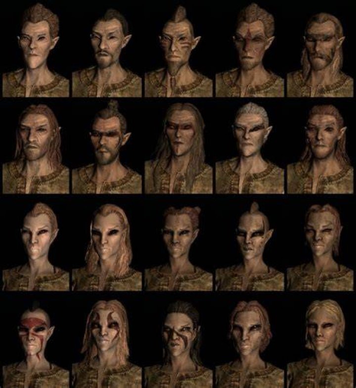 Skyrim races - Bosmer