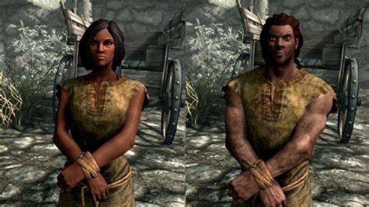 Skyrim races - Redguard