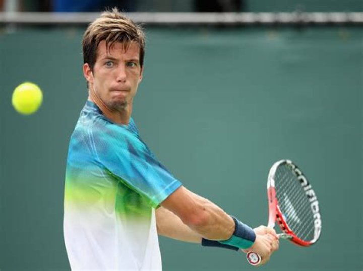 tennis aljaz bedene