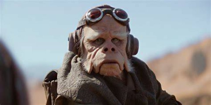 The Ugnaught Kuiil from 'The Mandalorian'