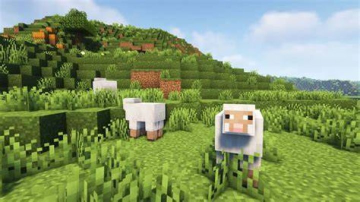 Three sheep from Minecraft