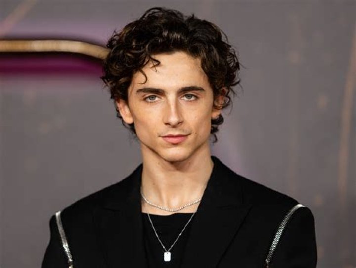 Timothee Chalamet net worth: Bio, age, height, girlfriend, movies
