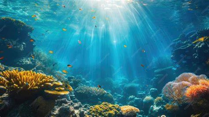 Underwater